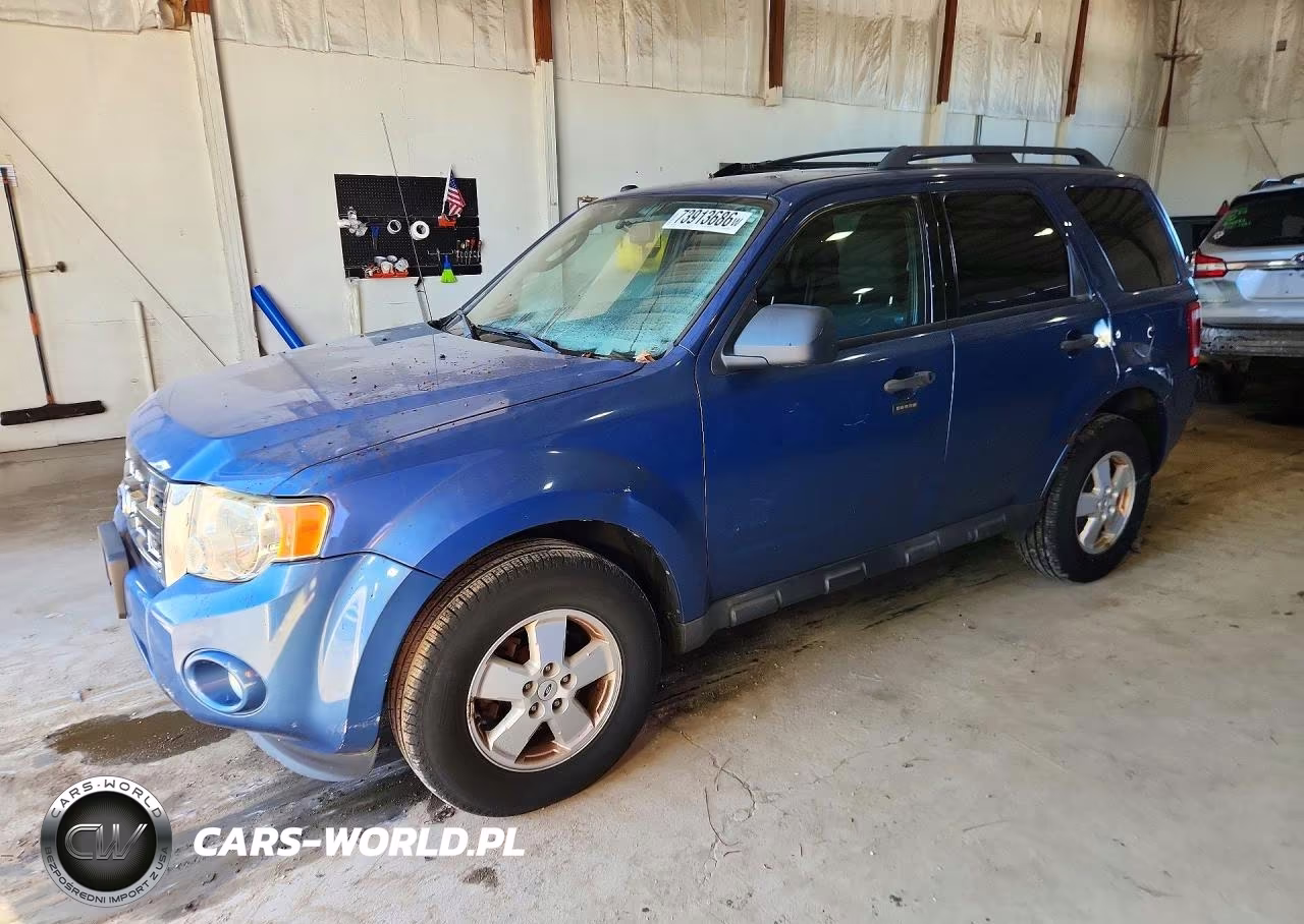 2010 Ford Escape Xlt