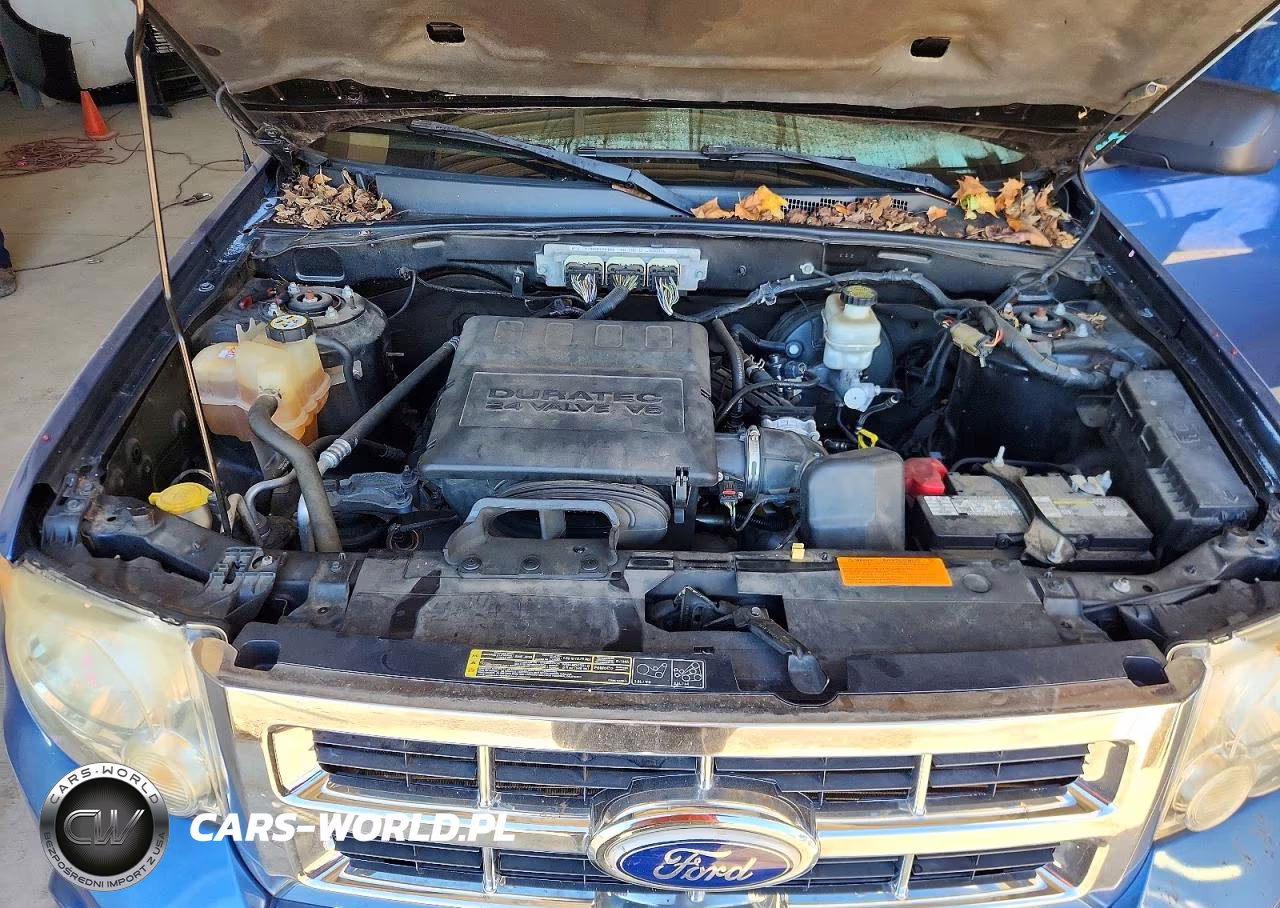 2010 Ford Escape Xlt VIN:1FMCU9DG2AKD17499 - 12