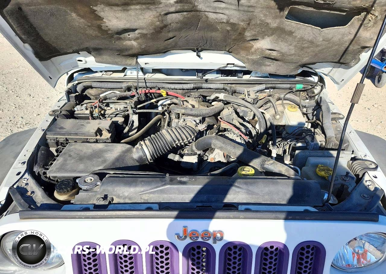 2011 Jeep Wrangler Unlimited Rubicon VIN:1J4BA6H13BL584489 - 12