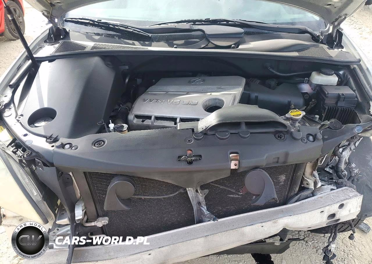 2004 Lexus Rx 330 VIN:JTJGA31UX40009726 - 12