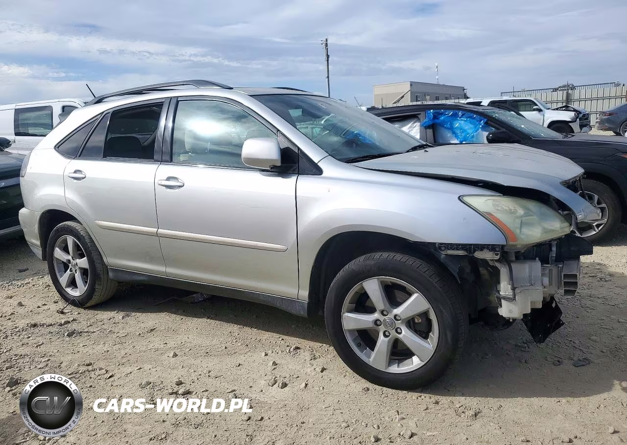 2004 Lexus Rx 330 VIN:JTJGA31UX40009726 - 4