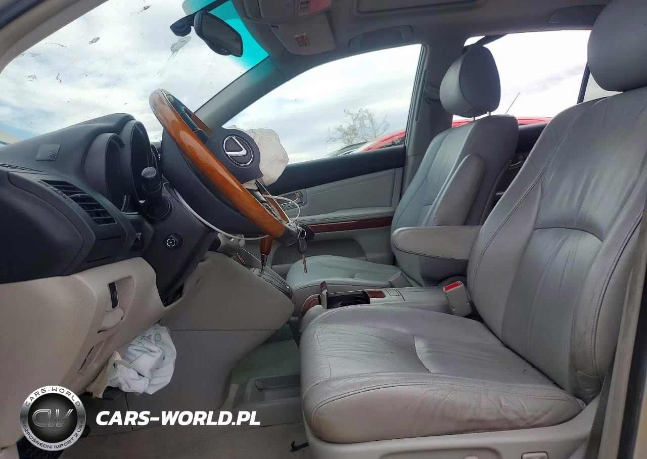 2004 Lexus Rx 330 VIN:JTJGA31UX40009726 - 7