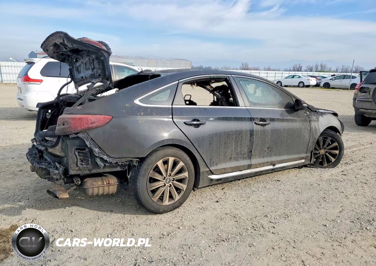 2017 Hyundai Sonata Sport VIN:5NPE34AF5HH448451 - 3