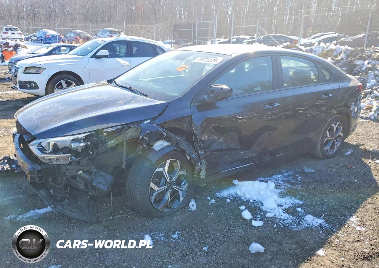 2019 Kia Forte Fe