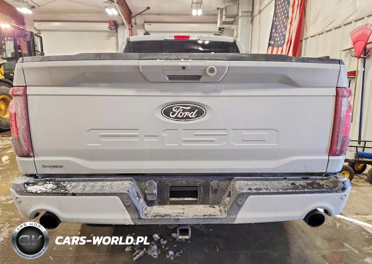 2024 Ford F150 VIN:1FTFW3L83RFB54935 - 6