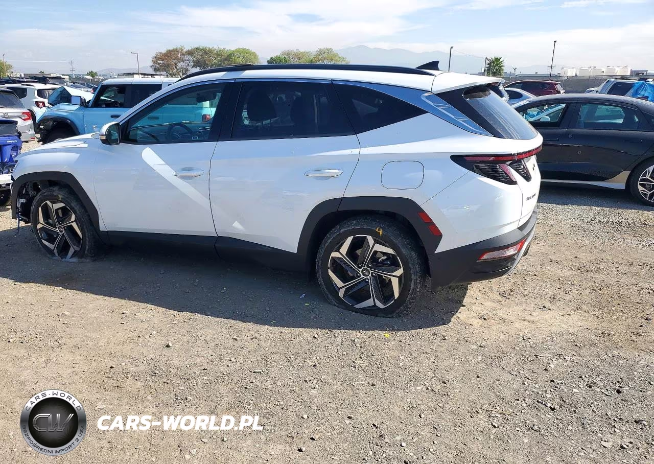2022 Hyundai Tucson Limited VIN:5NMJE3AE5NH045699 - 2