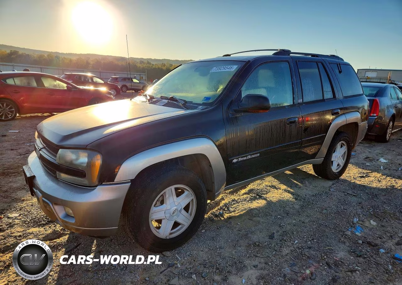 2003 Chevrolet Trailblazer VIN:1GNDS13S432102299 - 1