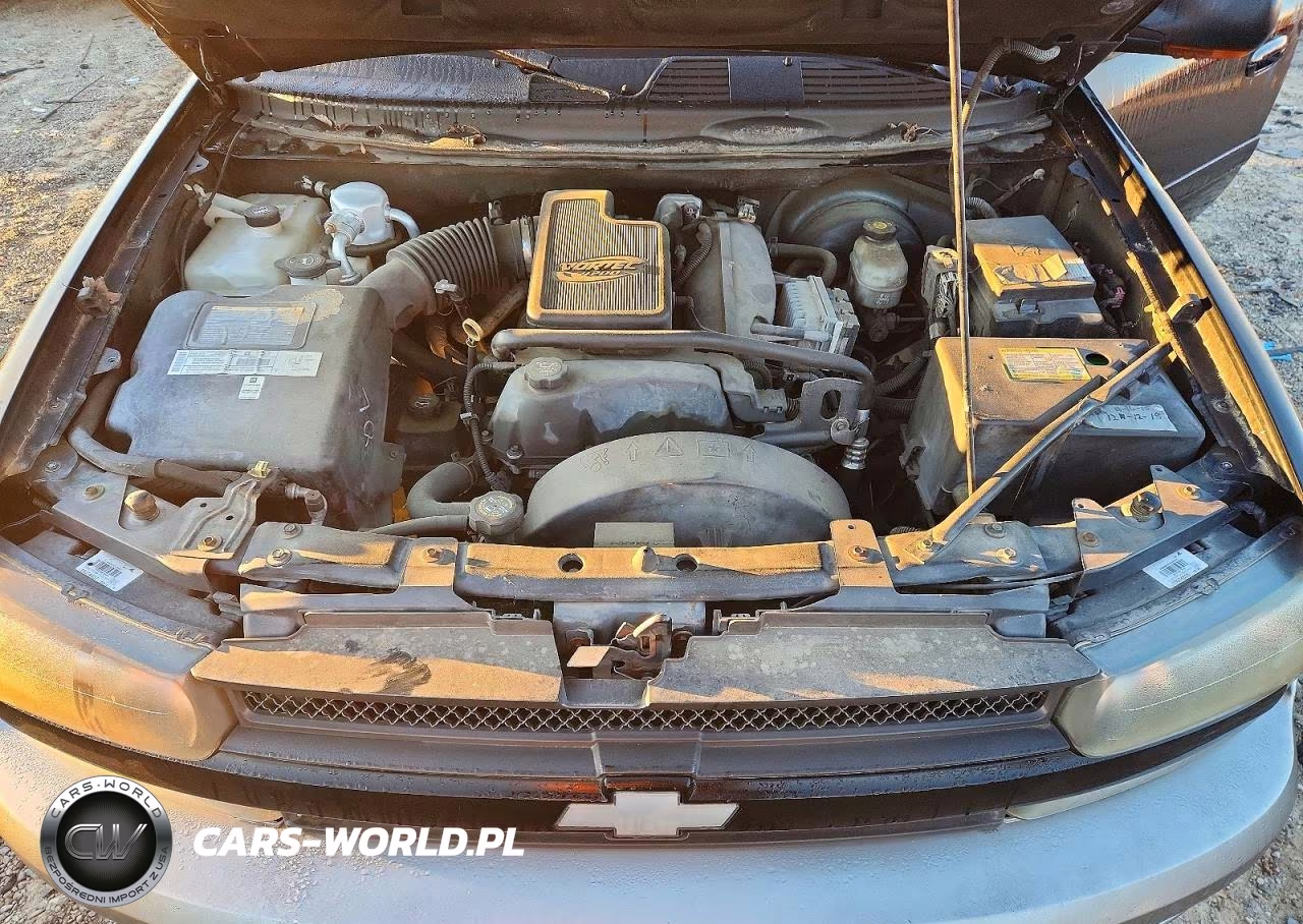 2003 Chevrolet Trailblazer VIN:1GNDS13S432102299 - 12