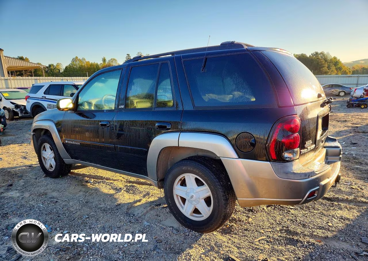 2003 Chevrolet Trailblazer VIN:1GNDS13S432102299 - 2
