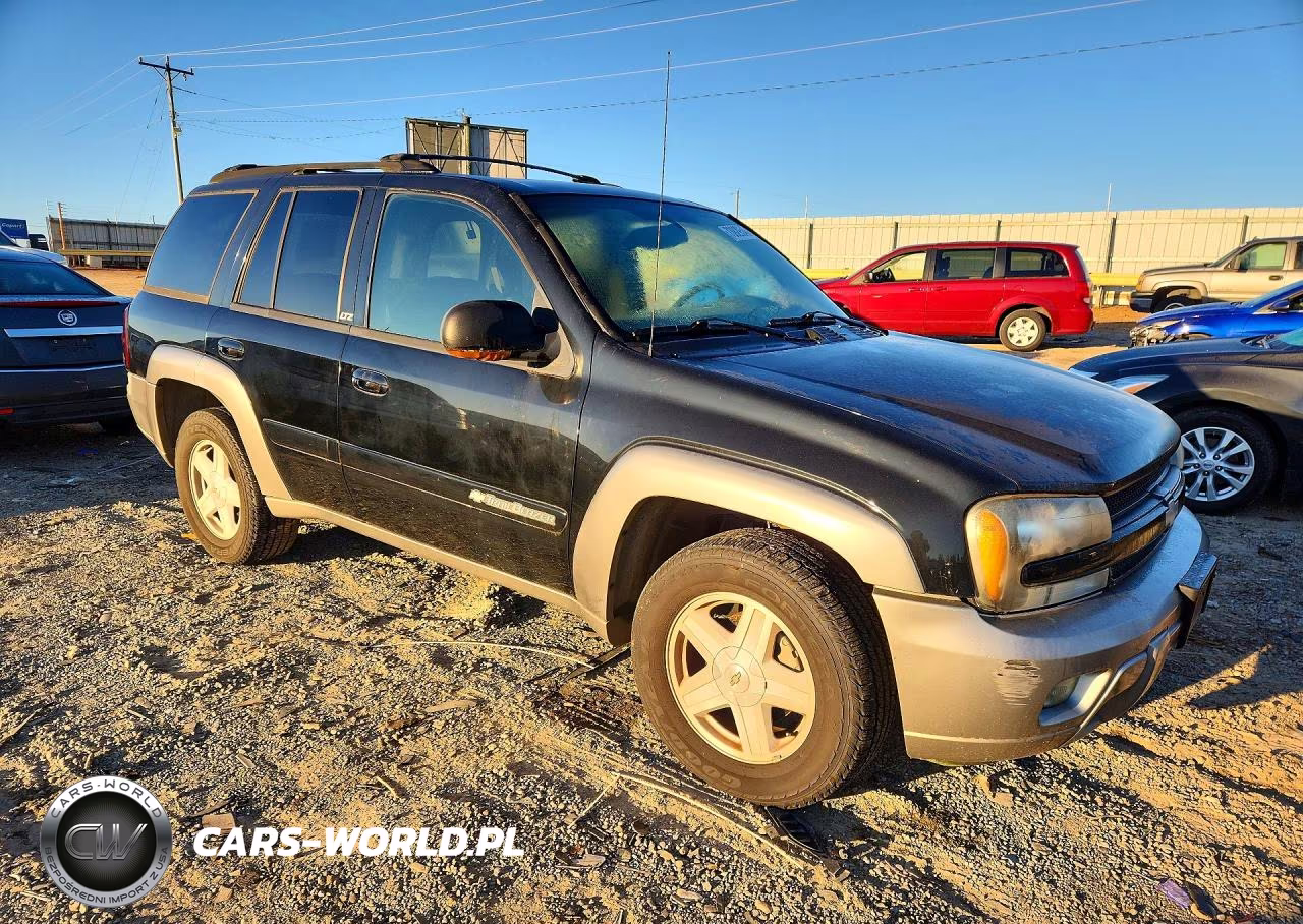 2003 Chevrolet Trailblazer VIN:1GNDS13S432102299 - 4