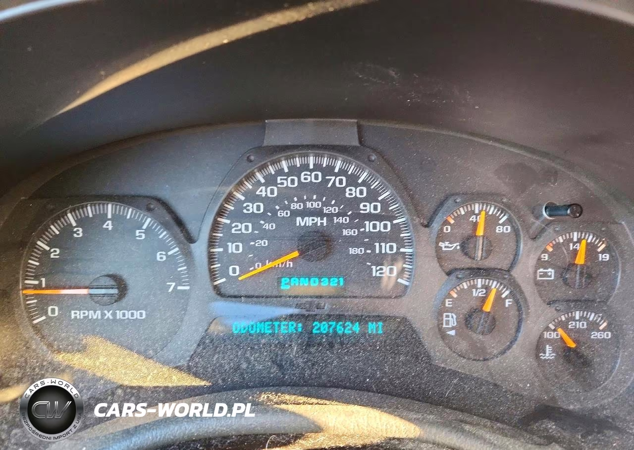 2003 Chevrolet Trailblazer VIN:1GNDS13S432102299 - 9