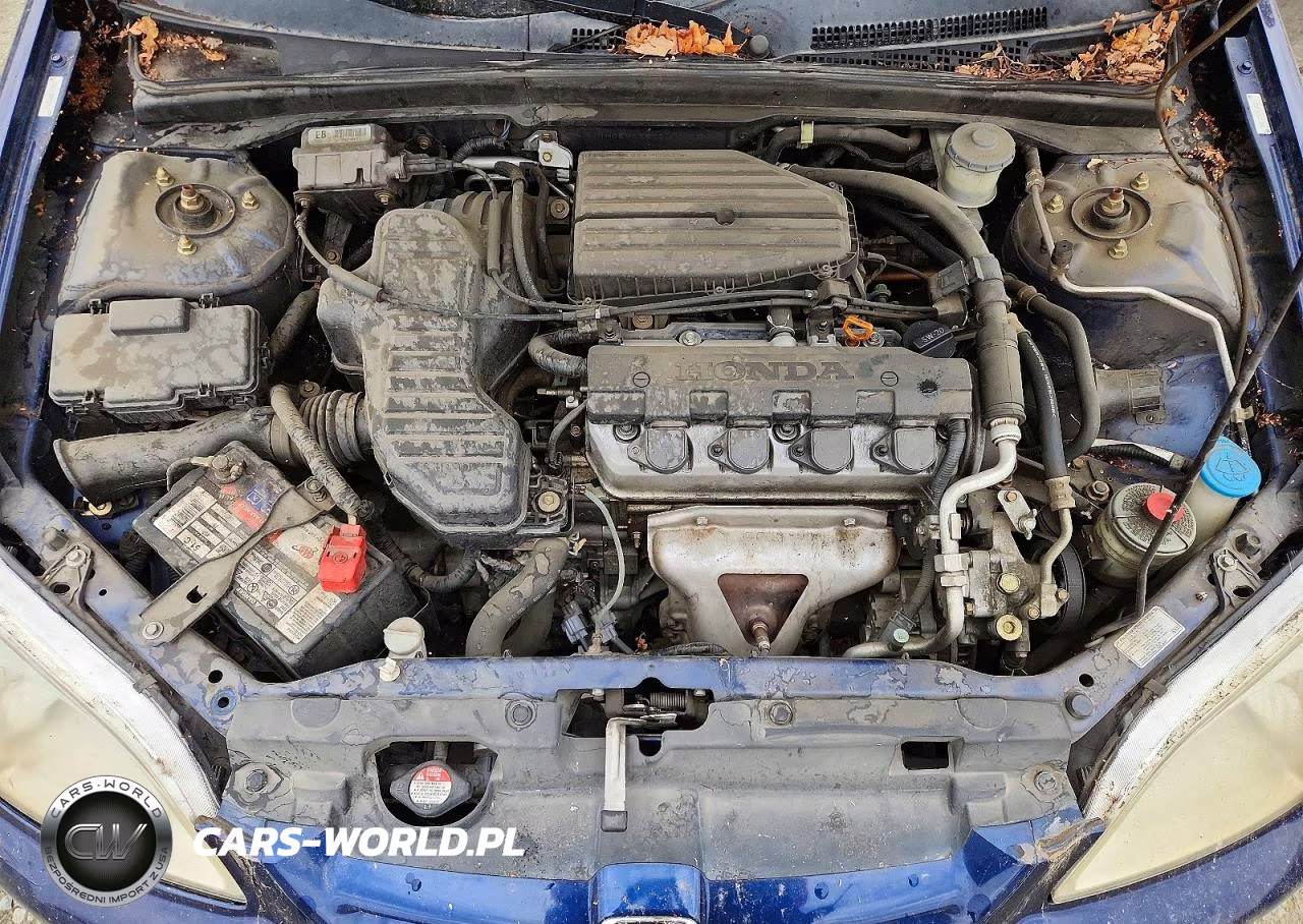 2003 Honda Civic Lx VIN:1HGEM22533L001100 - 11