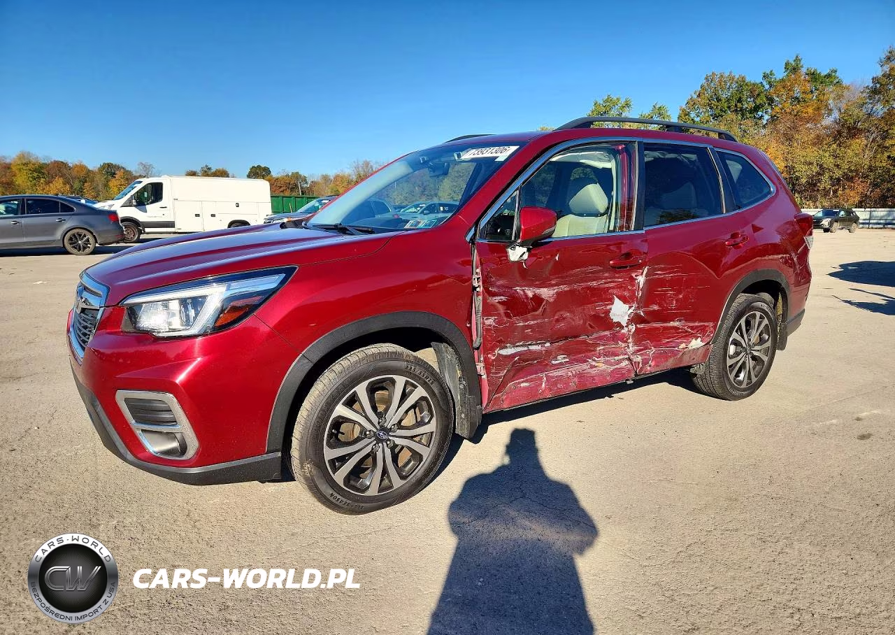 2019 Subaru Forester Limited VIN:JF2SKAUC4KH557934 - 1