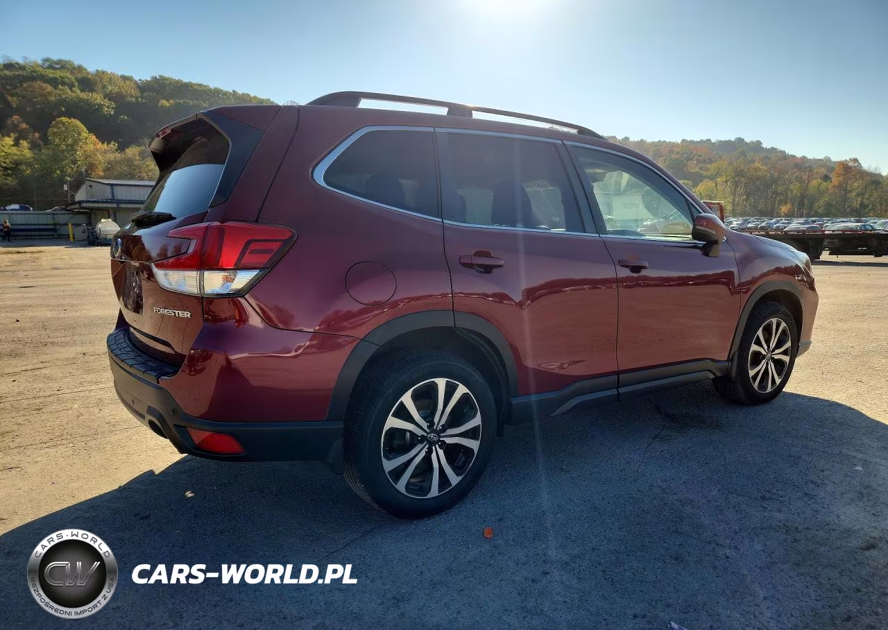 2019 Subaru Forester Limited VIN:JF2SKAUC4KH557934 - 3