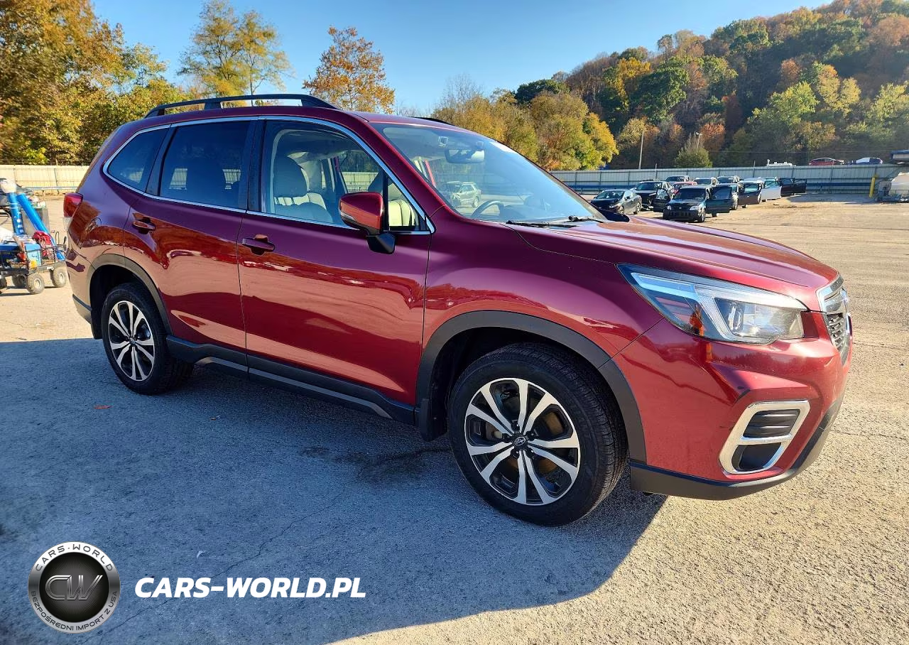 2019 Subaru Forester Limited VIN:JF2SKAUC4KH557934 - 4