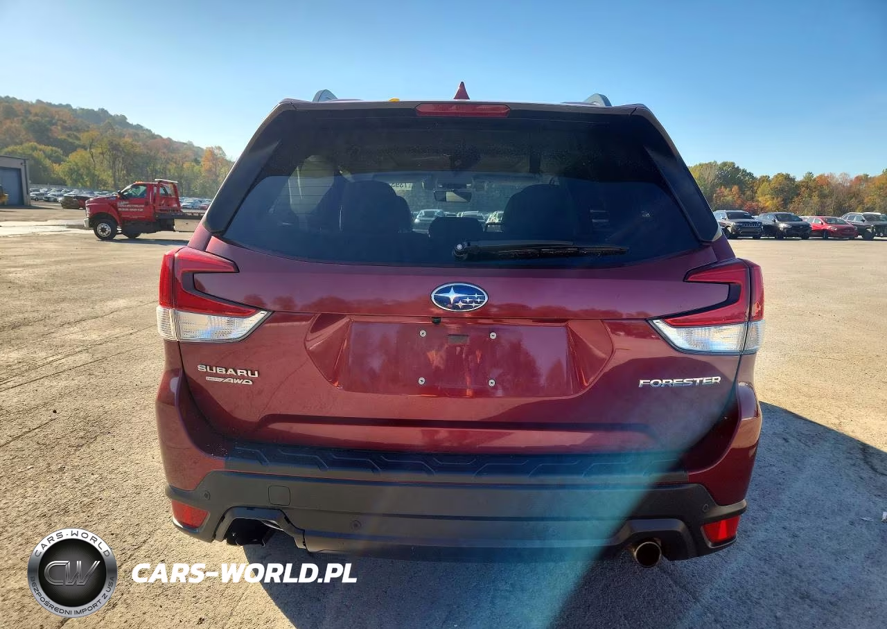 2019 Subaru Forester Limited VIN:JF2SKAUC4KH557934 - 6