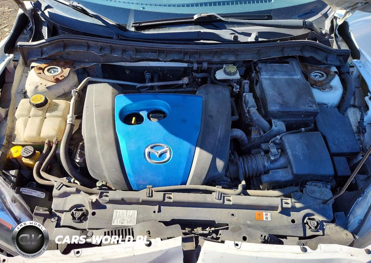 2013 Mazda 3 I VIN:JM1BL1LP5D1819455 - 11