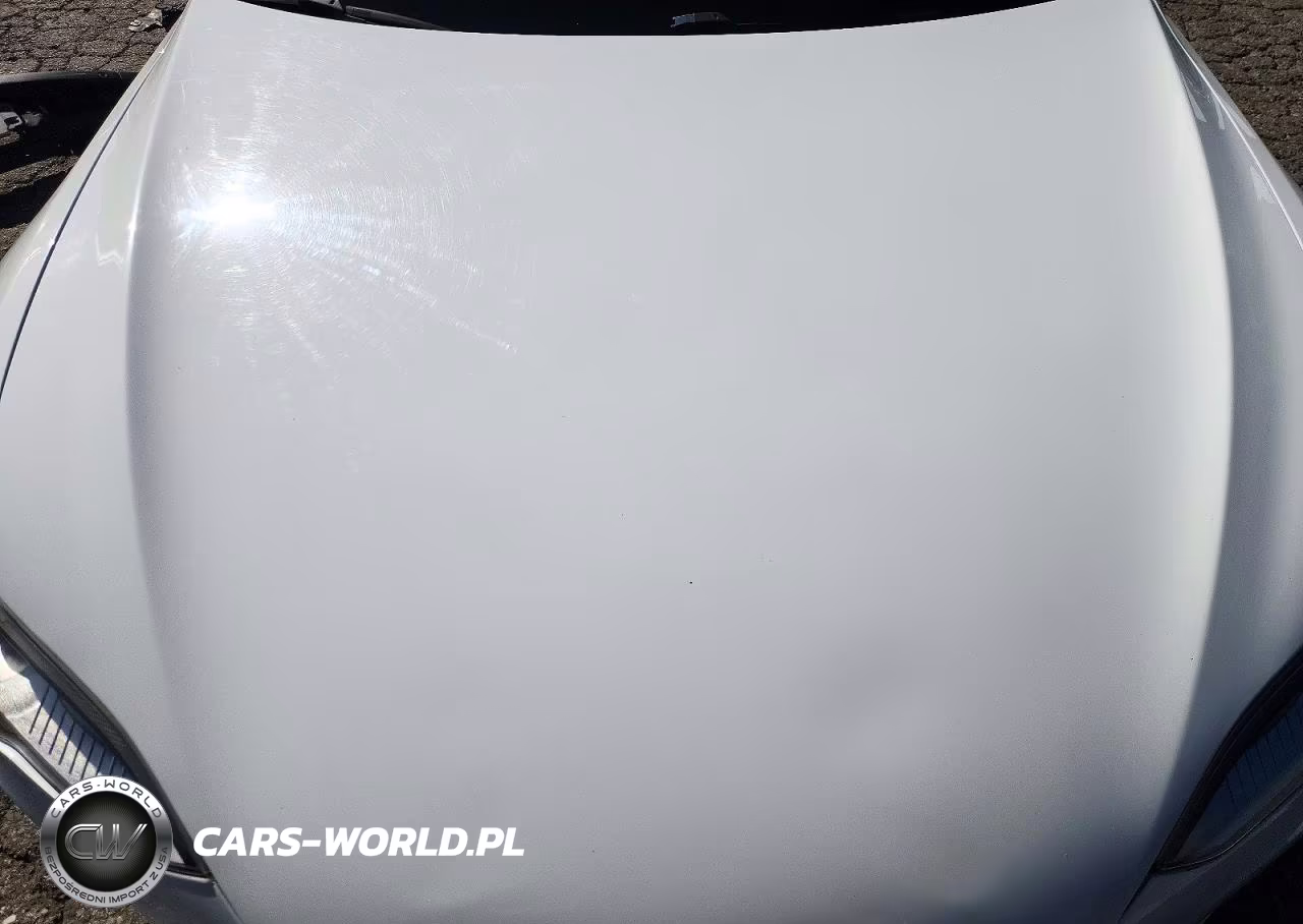 2013 Tesla Model S VIN:5YJSA1AC7DFP10881 - 11