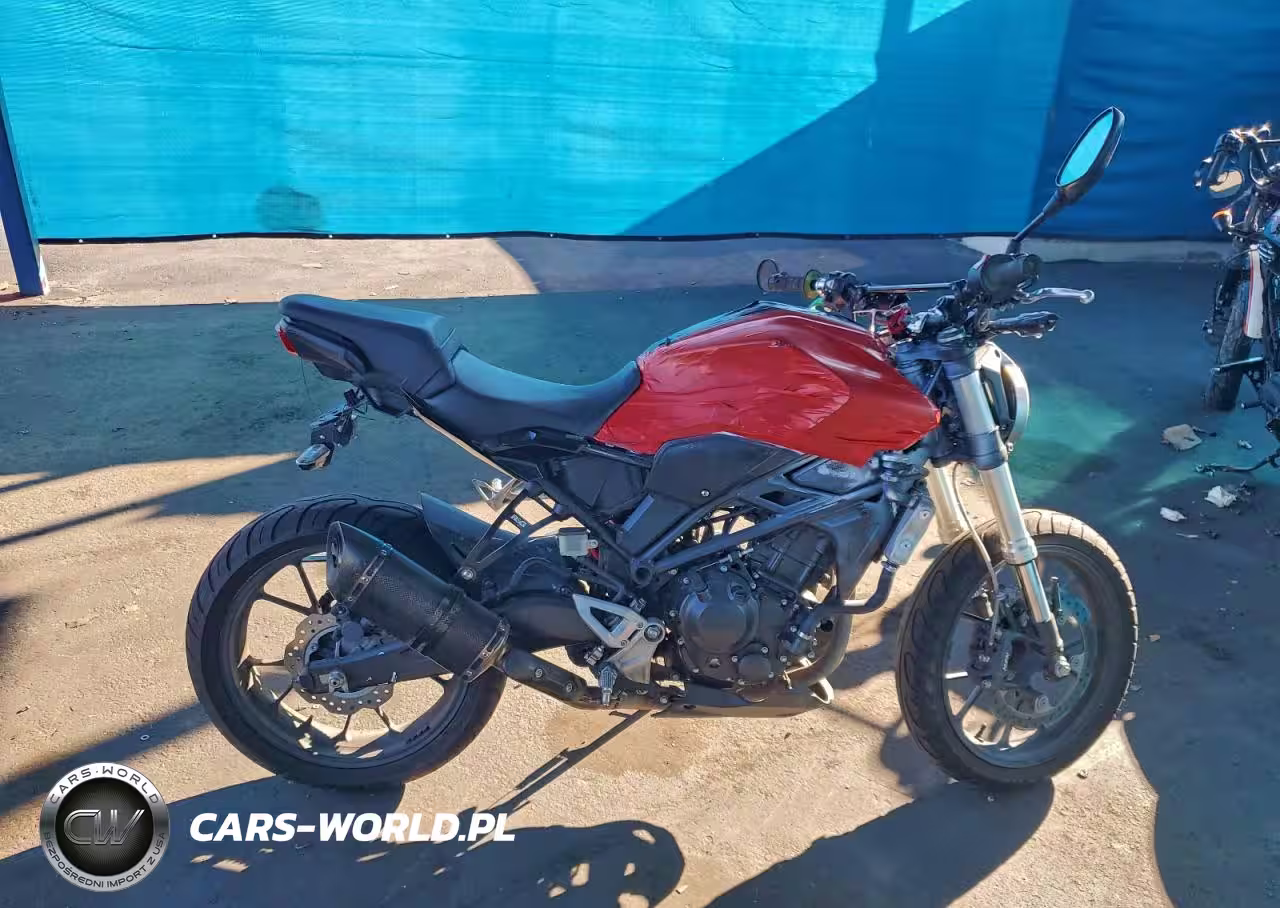 2019 Honda Cbf300 N