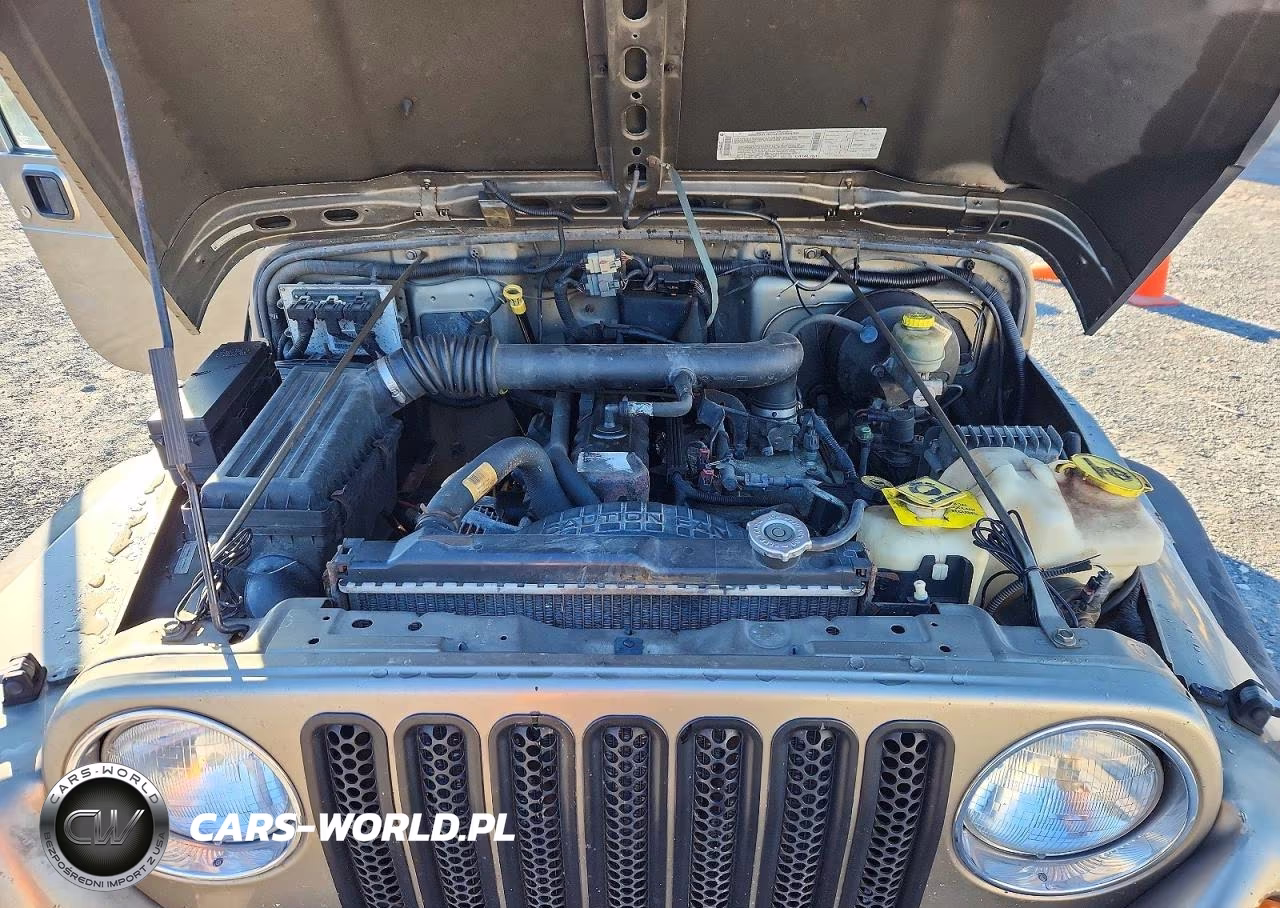 2003 Jeep Wrangler Commando VIN:1J4FA39S53P320143 - 11