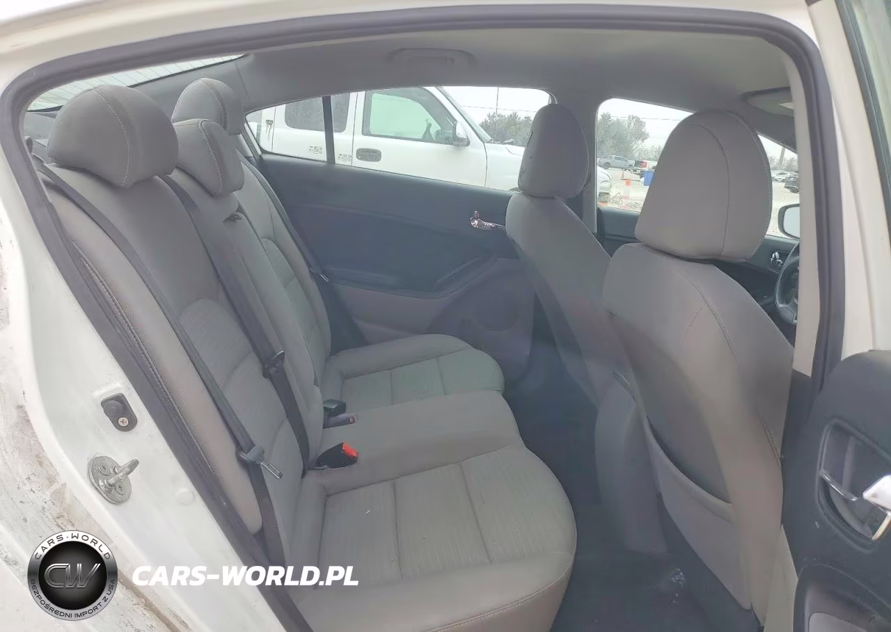 2014 Kia Forte Lx VIN:KNAFX4A64E5134890 - 10