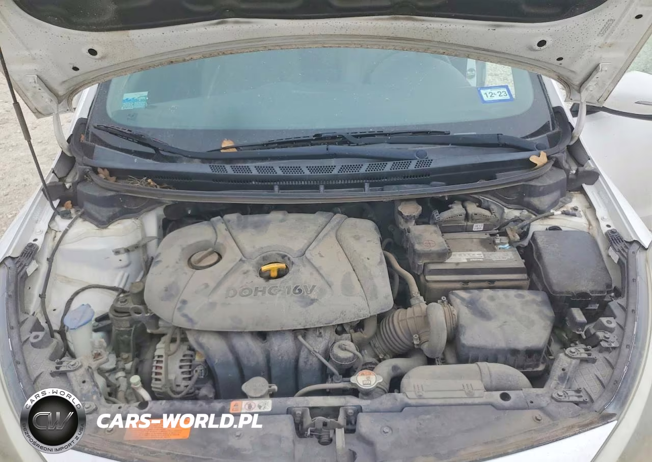 2014 Kia Forte Lx VIN:KNAFX4A64E5134890 - 11