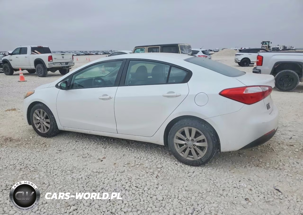 2014 Kia Forte Lx VIN:KNAFX4A64E5134890 - 2