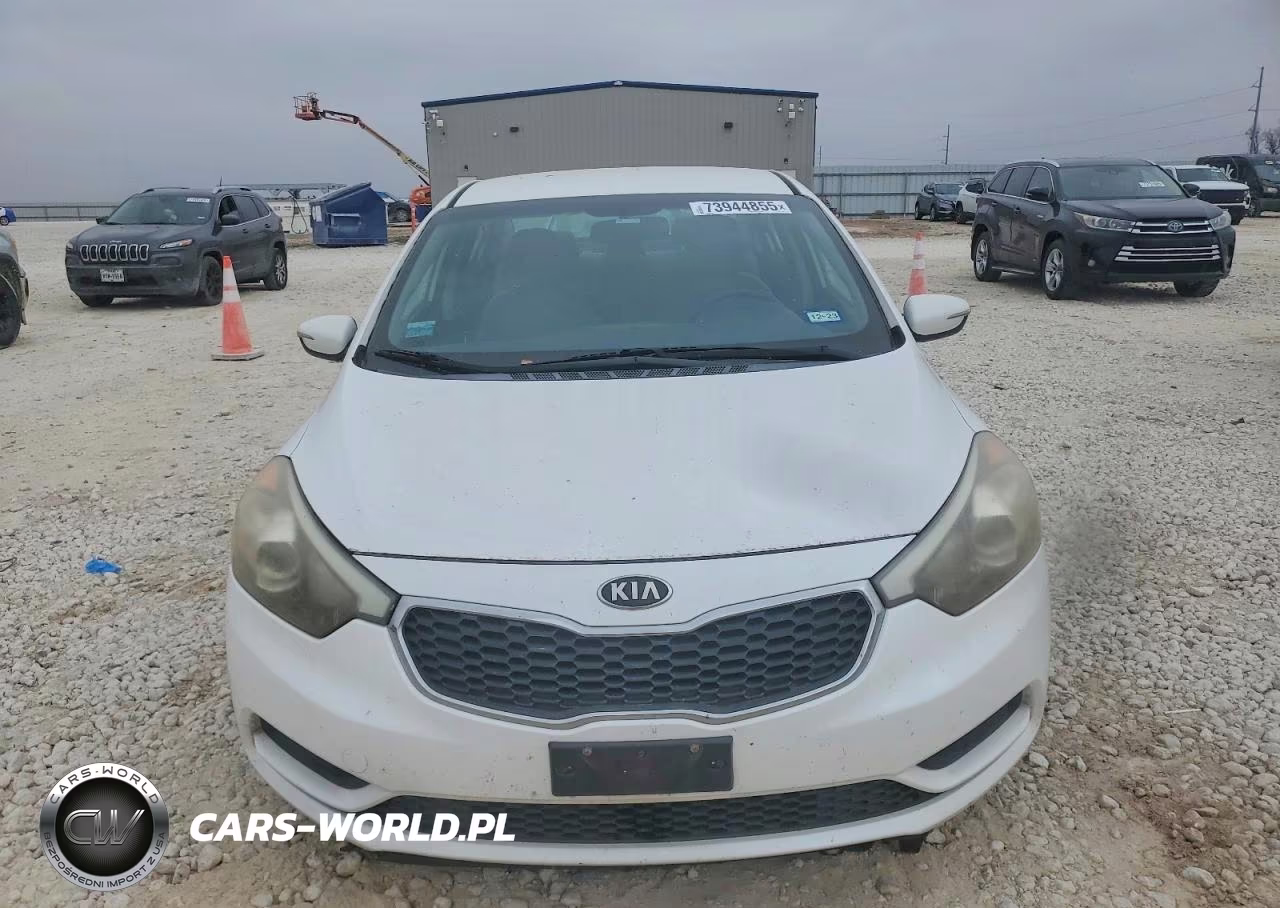 2014 Kia Forte Lx VIN:KNAFX4A64E5134890 - 5