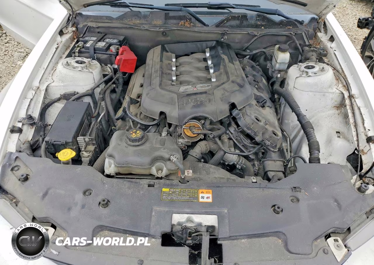 2011 Ford Mustang Gt VIN:1ZVBP8CF0B5137249 - 11