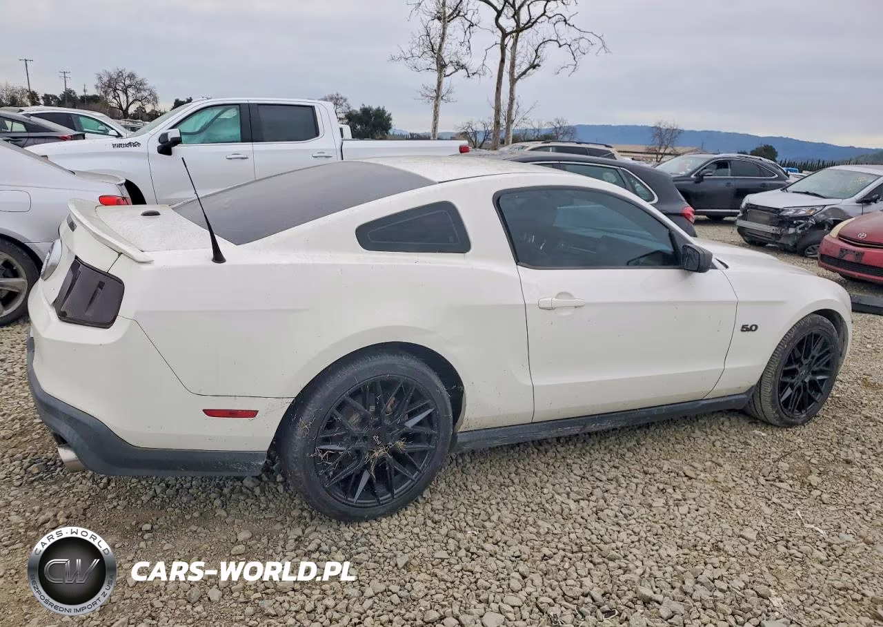 2011 Ford Mustang Gt VIN:1ZVBP8CF0B5137249 - 3