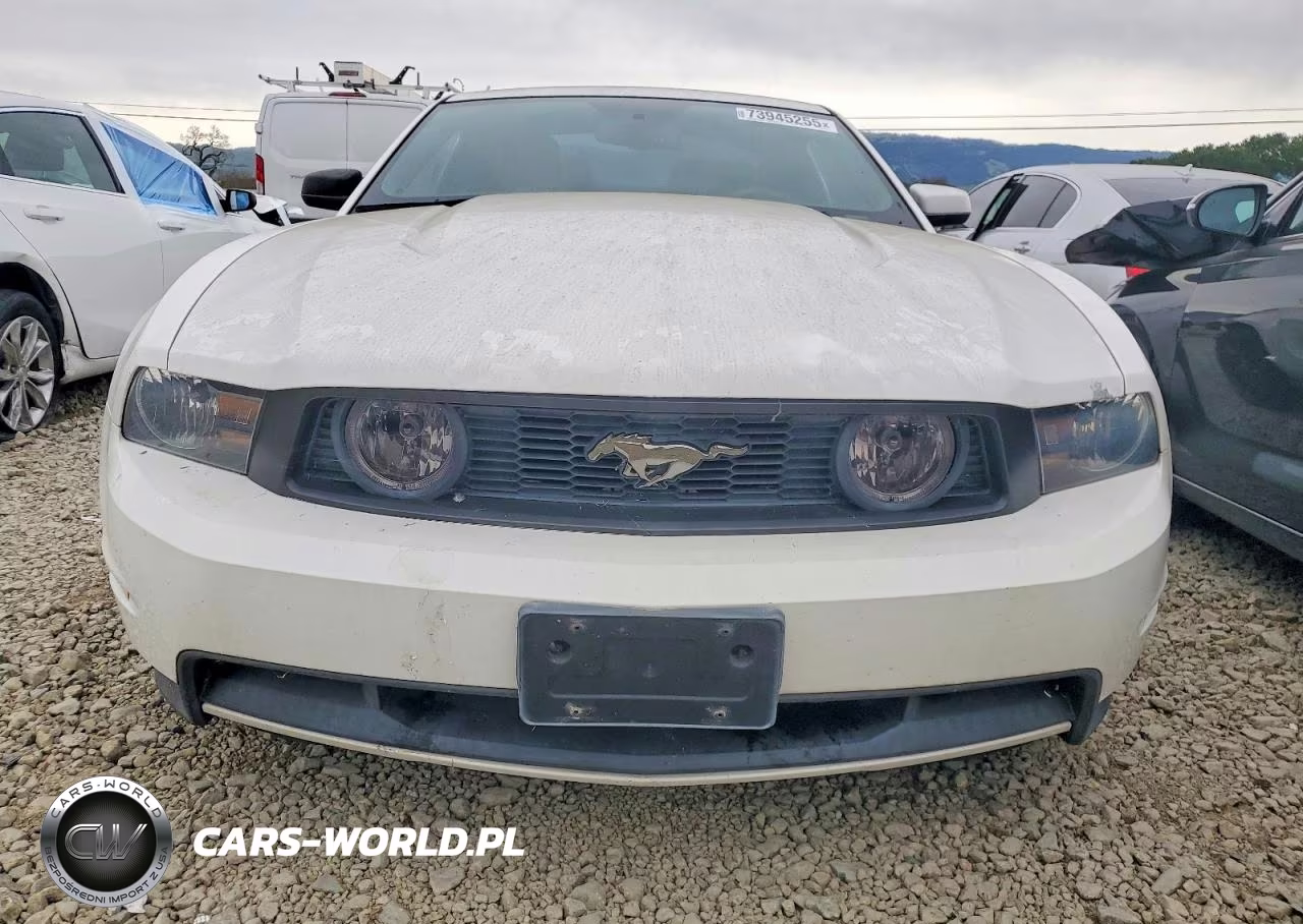 2011 Ford Mustang Gt VIN:1ZVBP8CF0B5137249 - 5