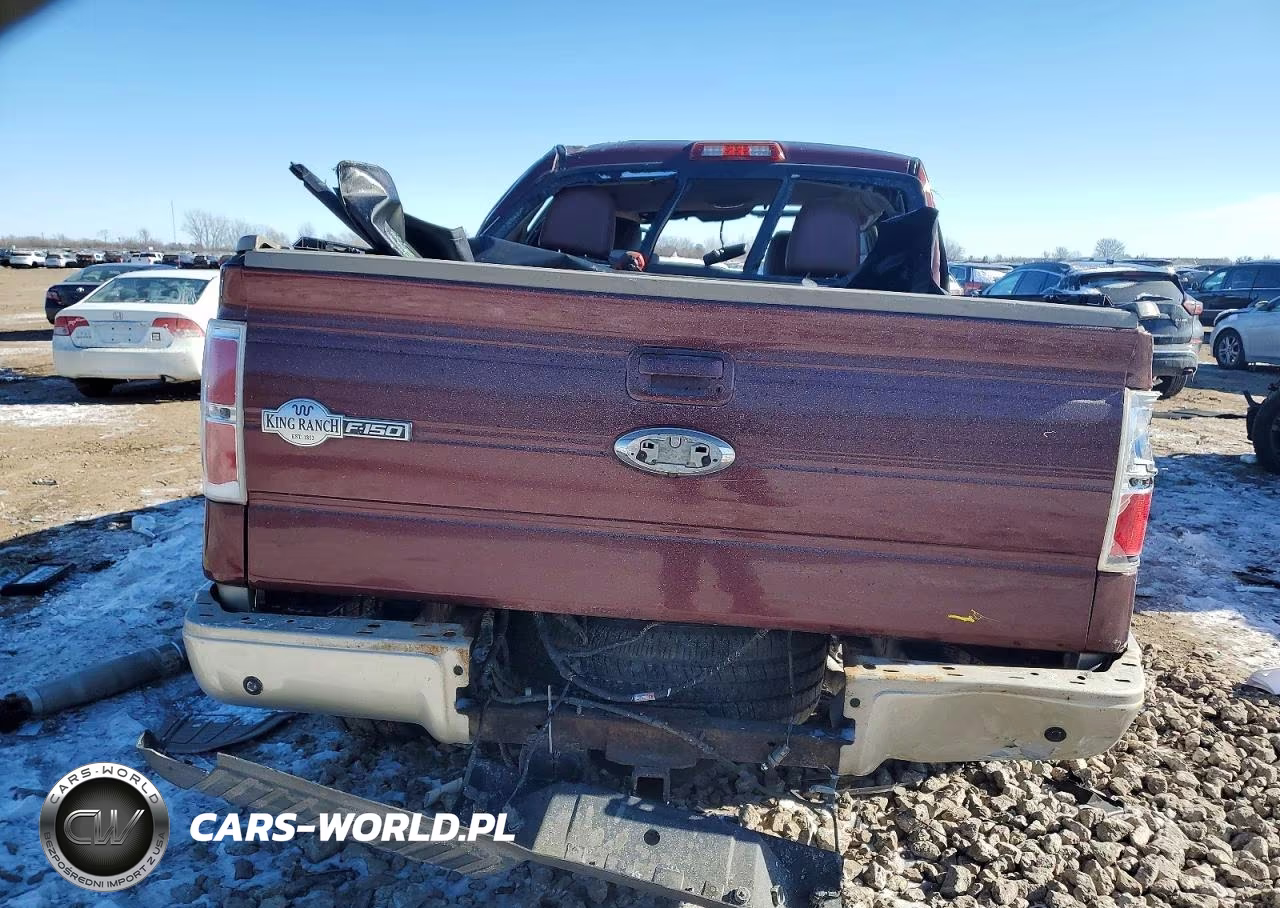 2010 Ford F150 Supercrew VIN:1FTFW1EV4AKA81559 - 6