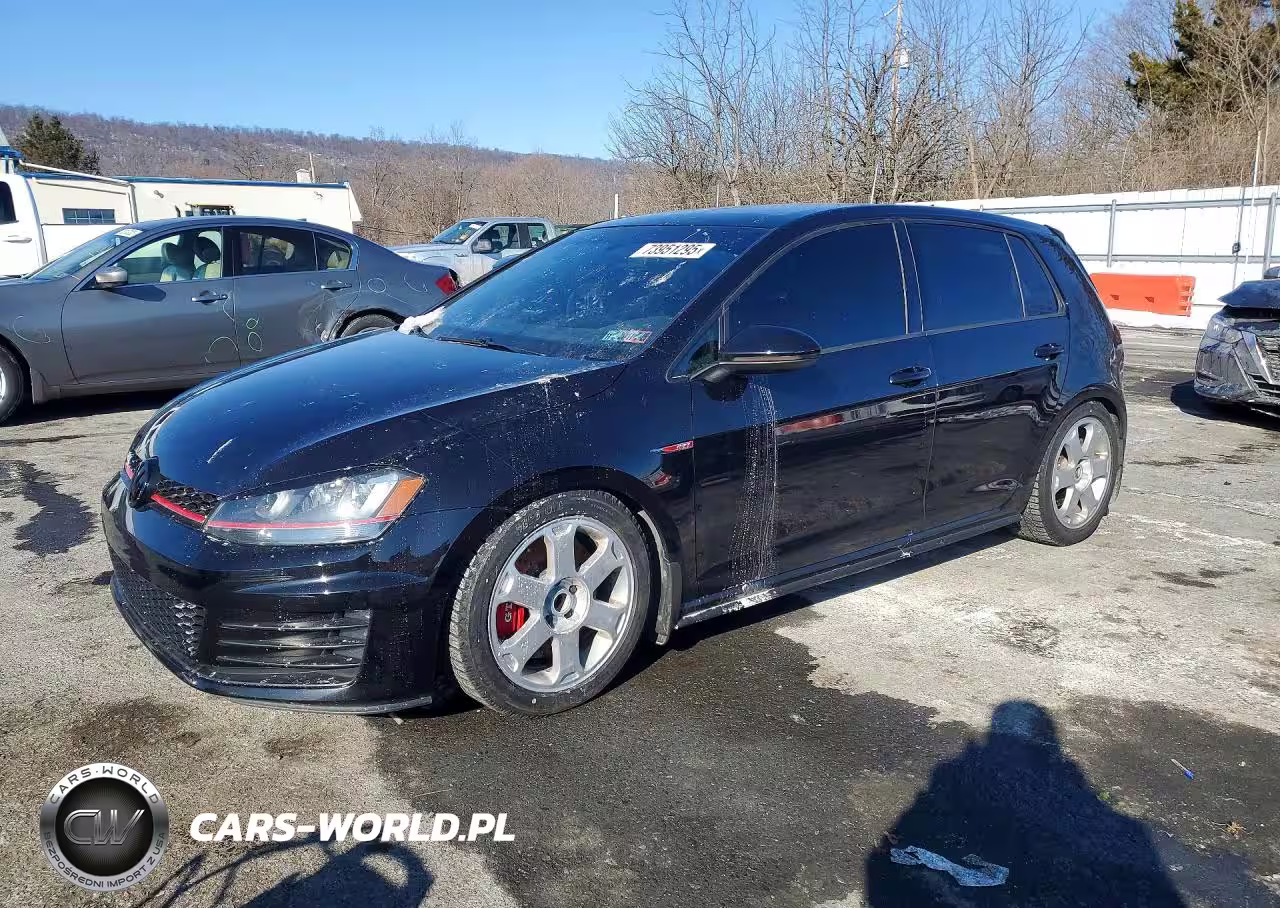 2016 Volkswagen Gti S-Se