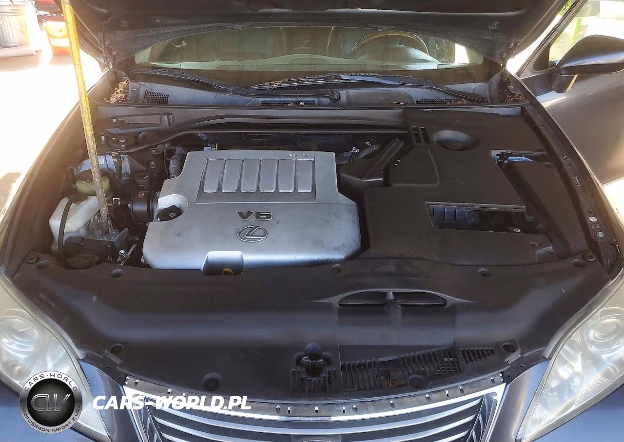 2009 Lexus Es 350 VIN:JTHBJ46G892329563 - 11