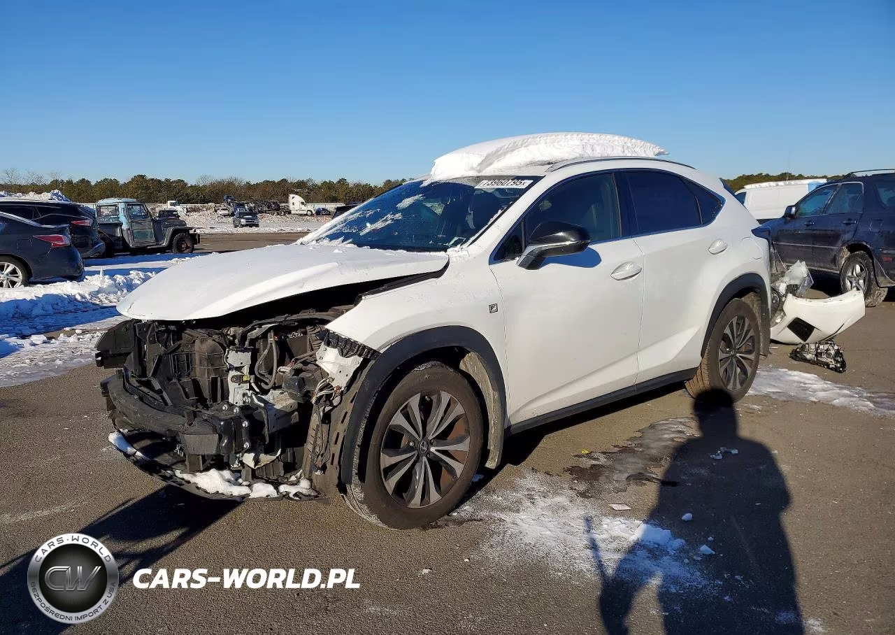 2019 Lexus Nx 300 Base