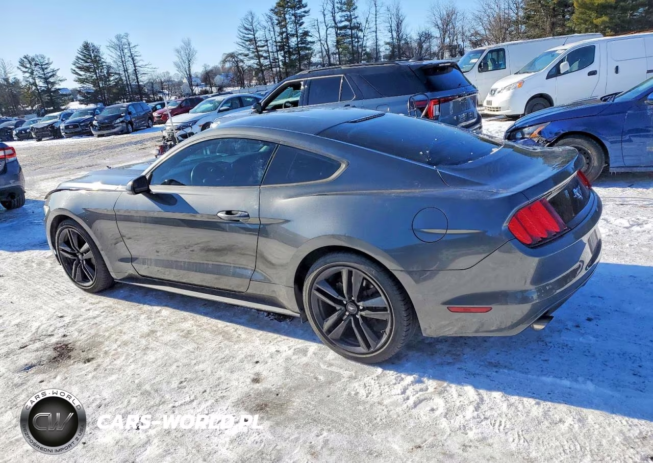 2015 Ford Mustang VIN:1FA6P8TH7F5391915 - 2