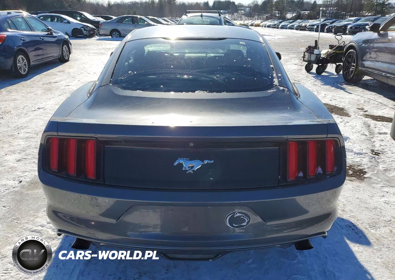 2015 Ford Mustang VIN:1FA6P8TH7F5391915 - 6