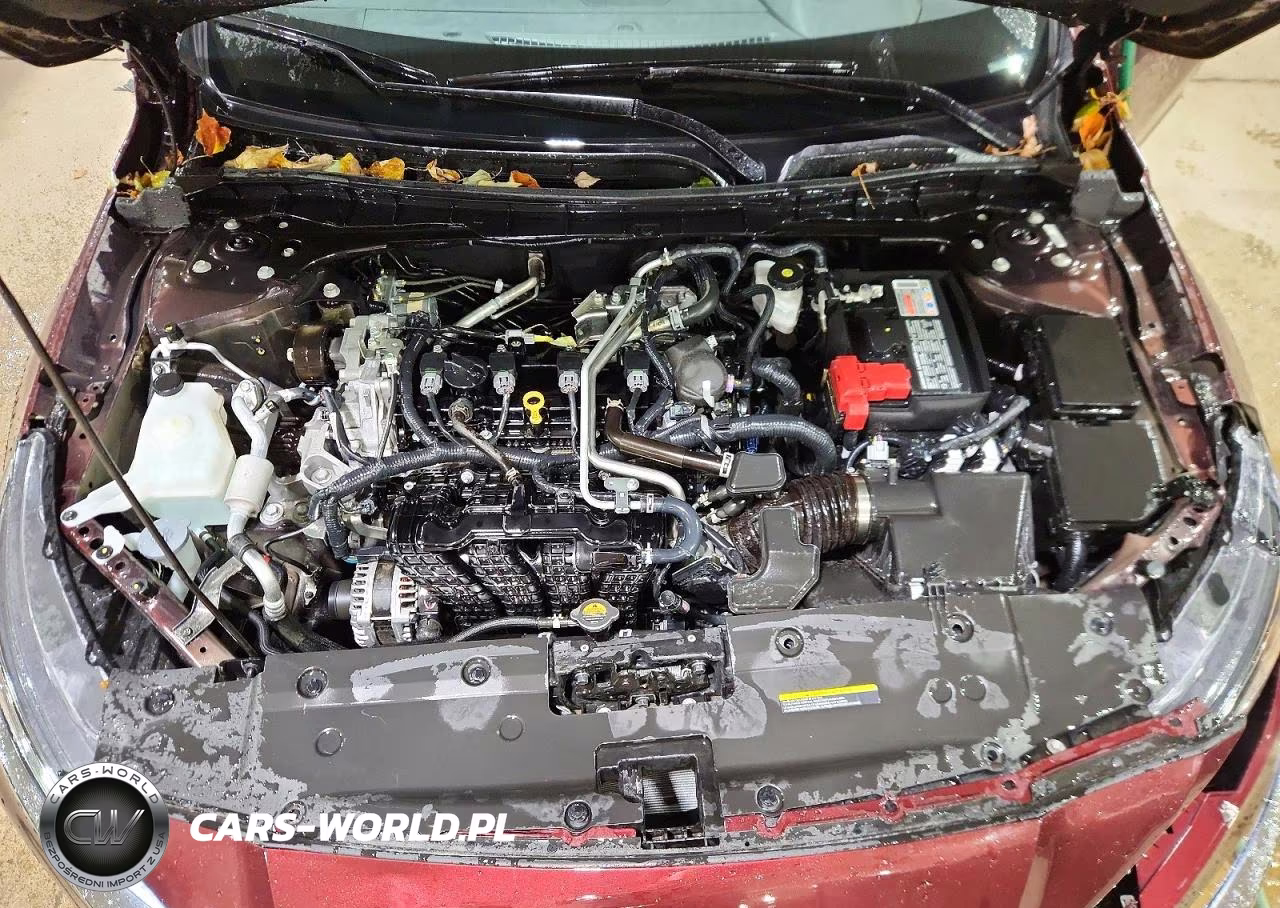 2025 Nissan Altima Sv VIN:1N4BL4DVXSN404528 - 11