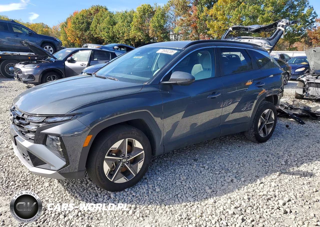 2025 Hyundai Tucson Sel VIN:5NMJBCDE5SH516928 - 1