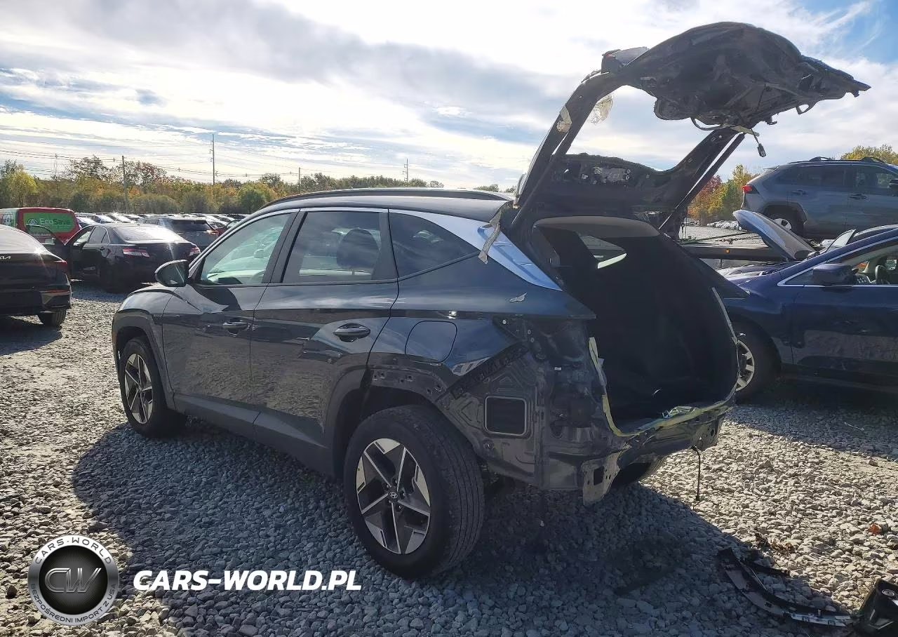 2025 Hyundai Tucson Sel VIN:5NMJBCDE5SH516928 - 2