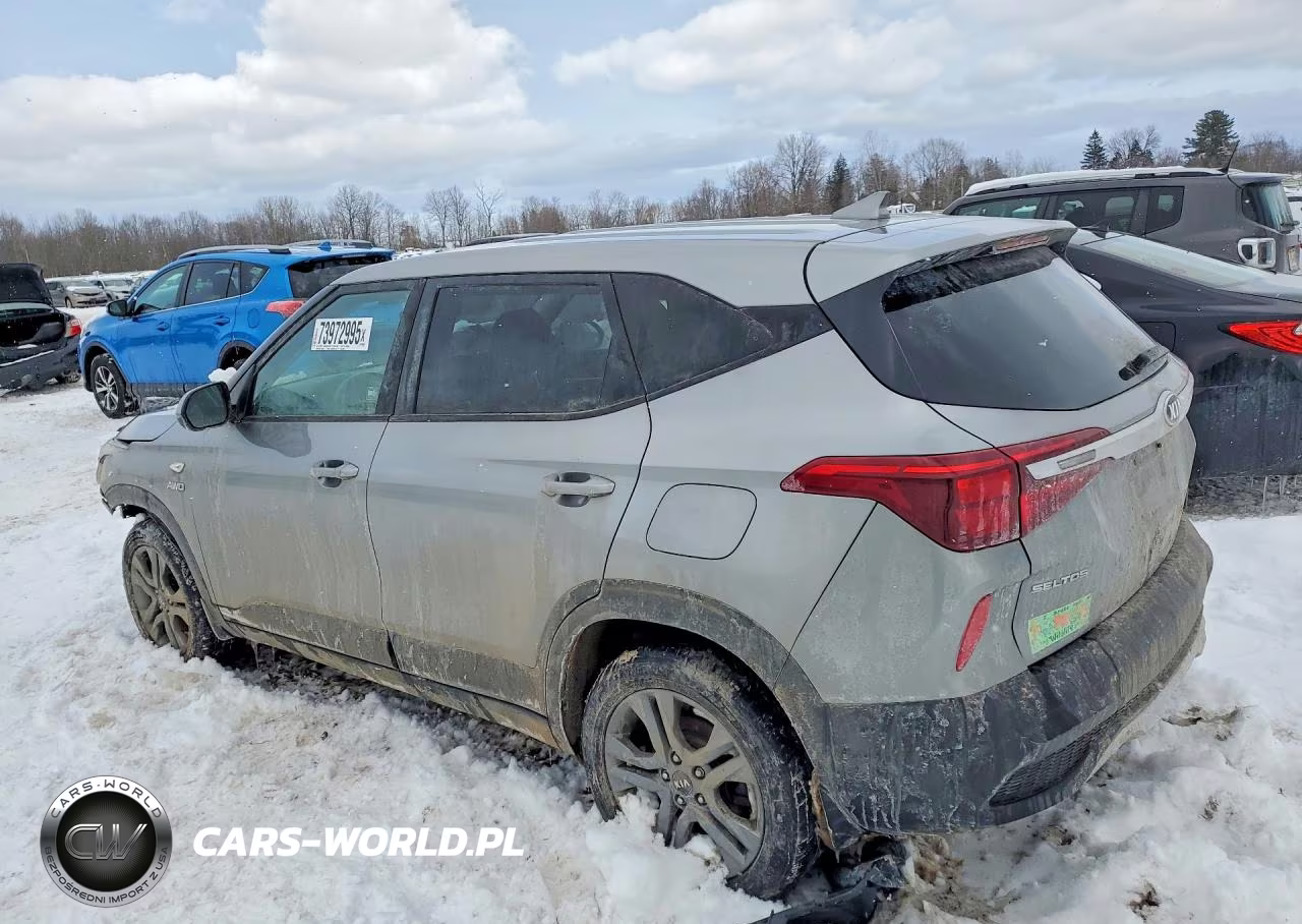 2021 Kia Seltos Lx VIN:KNDEPCAA1M7060974 - 2