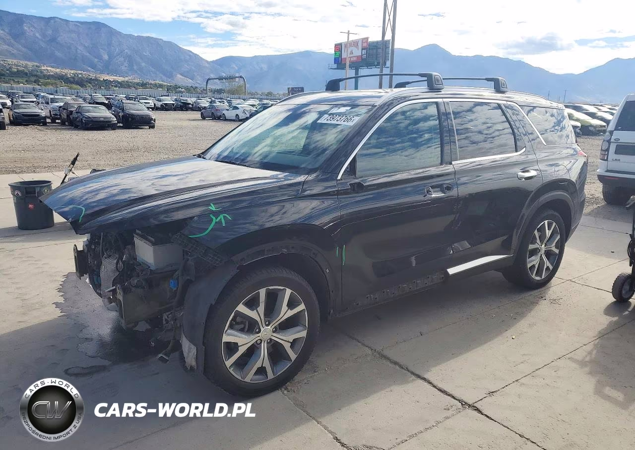 2021 Hyundai Palisade Sel VIN:KM8R4DHE1MU226075 - 1