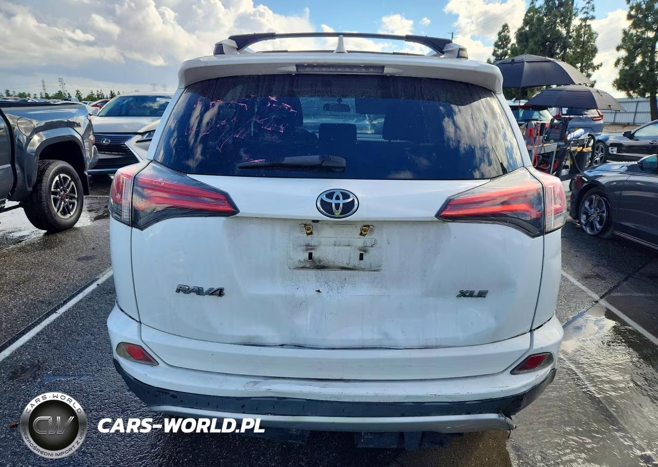 2016 Toyota Rav4 Xle VIN:2T3WFREV7GW269670 - 6