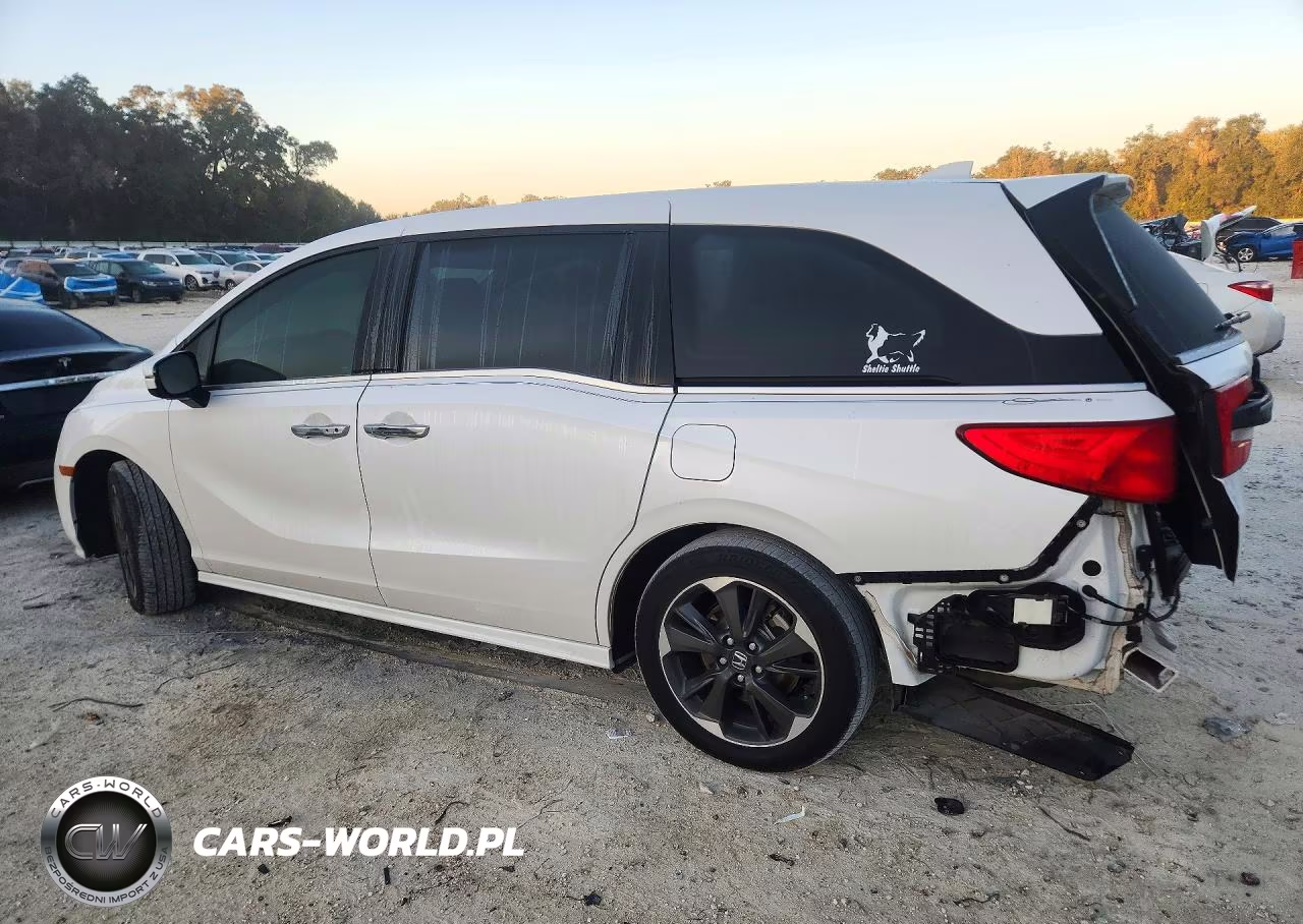 2024 Honda Odyssey Elite VIN:5FNRL6H96RB017288 - 2