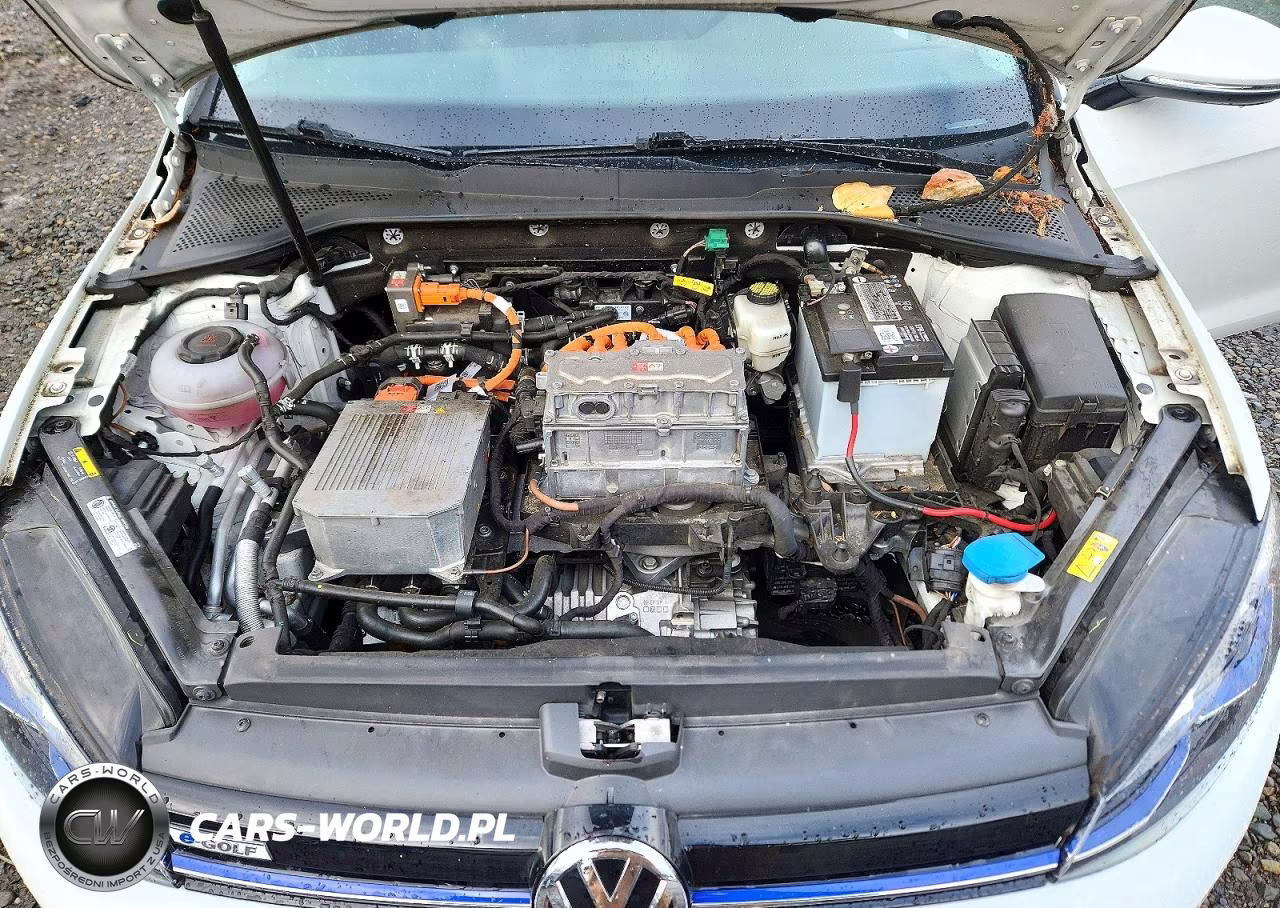 2019 Volkswagen E-Golf Sel Premium VIN:WVWPR7AU2KW912305 - 12