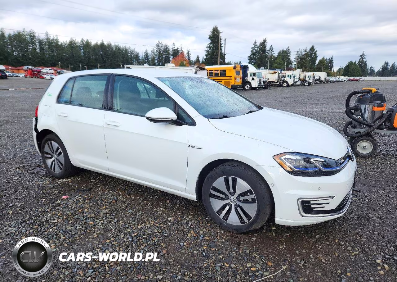 2019 Volkswagen E-Golf Sel Premium VIN:WVWPR7AU2KW912305 - 4