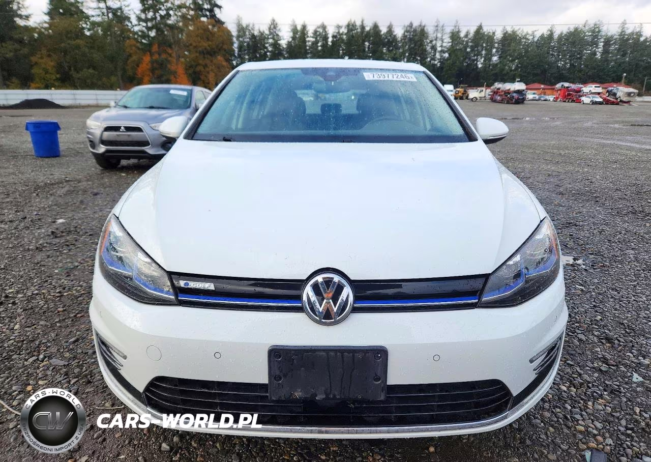 2019 Volkswagen E-Golf Sel Premium VIN:WVWPR7AU2KW912305 - 5