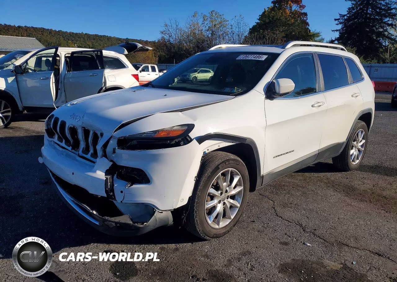 2014 Jeep Cherokee Limited VIN:1C4PJMDS5EW198075 - 1