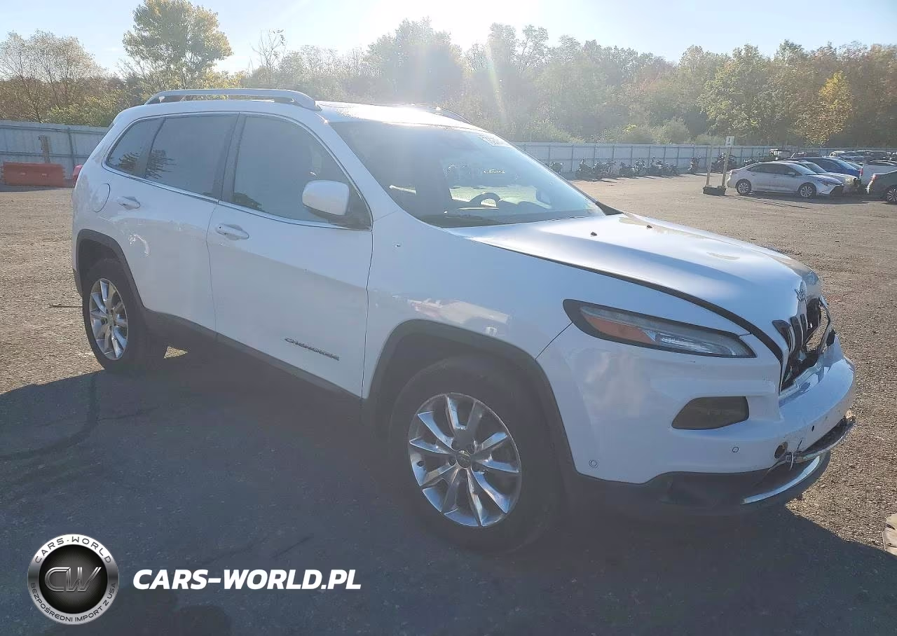 2014 Jeep Cherokee Limited VIN:1C4PJMDS5EW198075 - 4