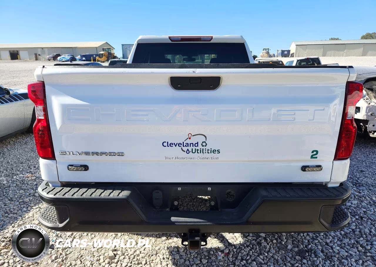 2019 Chevrolet Silverado K1500 VIN:1GCRYAEF1KZ272770 - 6